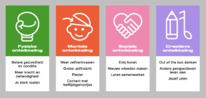 Vier iconen ontwikkeling