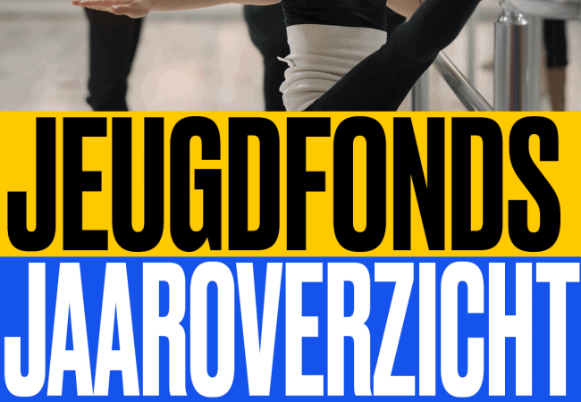 Jeugdfonds Jaaroverzicht 2020