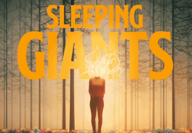 Roderick van den Brink - Sleeping Giants
